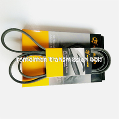 تسمه پروانه ای MVM 530 تسمه راملمان تسمه چند شیاره تسمه میکرو وی OEM B11-3701315BA/6PK1630 EPDM کیفیت اصلی تسمه pk