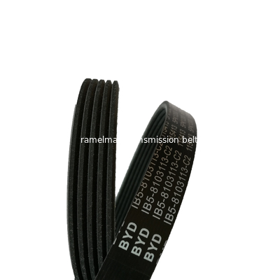 تسمه چند شیاره oem 1004484/6PK1175 تسمه انتقال نیرو برای HONDA FORD AUDI تسمه چند شیاره ramelman قطعات یدکی خودرو